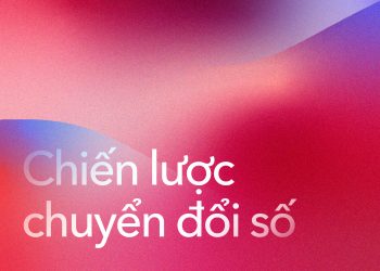 chien-luoc-chuyen-doi-so-2