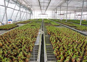 chuyen-doi-so-nong-nghiep