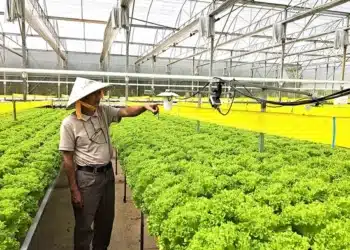 ong-duong-gioi-thieu-bo-phan-cam-ung1-17386013548561943327442